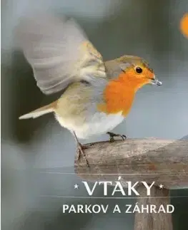 Príroda Vtáky parkov a záhrad