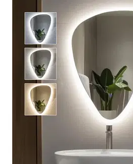 Svietidlá BRILAGI - LED kúpeľňové zrkadlo GOCCIA LED/19W/230V 67x50 cm IP44 CRI 90 stmievateľné +CCT FG-CY24-B01-6750