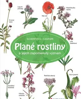 Biológia, fauna a flóra Plané rostliny a jejich zapomenutý význam - Gertrud Scherfová,Claus Caspari
