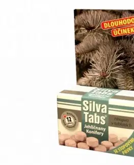 Grily Kinekus Hnojivo v tabletách IHLIČNANY Silva tabs 25ks