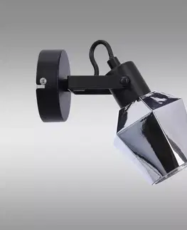 Lampy do obývačky Nástenná lampa RANDI 91-13347 KD1