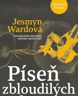 Romantická beletria Píseň zbloudilých duší - Jesmyn Wardová