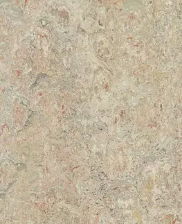 Marmoleum marbled vivace FORBO Marmoleum marbled vivace Agate 3427