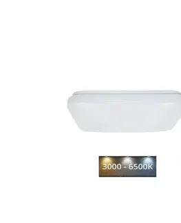 Svietidlá  LED Stropné svietidlo OPAL LED/48W/230V 3000-6500K + diaľkové ovládanie LCL535S/S