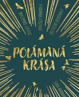 Young adults Polámaná krása - Sara Barnardová