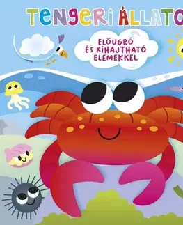 Leporelá, krabičky, puzzle knihy Ki bújt el? Tengeri állatok