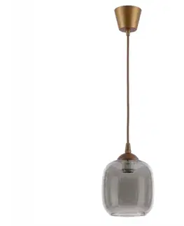 Svietidlá BRILAGI - LED luster na lanku R GLASS 1xE27/60W/230V pr. 14 cm hnedá/dymová sivá NSTK7758+TK8611A