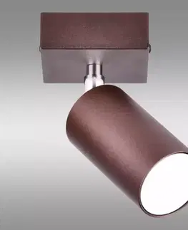 Moderné lampy do obývačky Svietidlo  PEGAZ 2790/Z-GU10-1  LS1