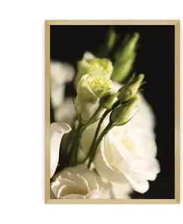 Obrazy Plagát Dark Flowers I