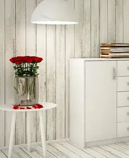 Komody a skrinky ANES komoda 2D5S, biela