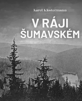 Svetová beletria Tympanum V ráji šumavském