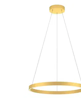 Svietidlá Redo 01-2865 - LED stmievateľný luster na lanku FEBE LED/37W/230V zlatý 01-2865