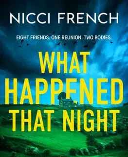 Detektívky, trilery, horory What Happened that Night - Nicci French