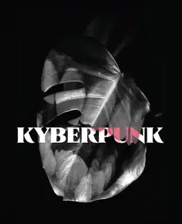 Poézia Kyberpunk - Thea Sedmidubská
