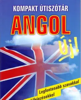 Slovníky Kompakt útiszótár: Angol - Mike Hillenbrand,Todd M. Rives