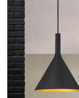 Svietidlá Orion - Závesné svietidlo na lanku GUNDA 1xE27/60W/230V priemer 25 cm čierna/zlatá HL 6-1628 schwarz-gold