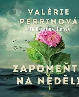 Beletria - ostatné Jota Zapomeňte na neděli