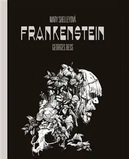 Komiksy Frankenstein - Mary Shelley,Georges Bess,Richard Podaný