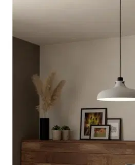 Svietidlá Eglo 43825 - Luster na lanku MATLOCK 1xE27/40W/230V 43825