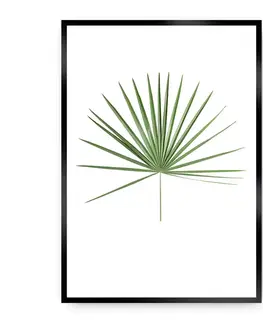 Obrazy Plagát Tropical Leaf Green