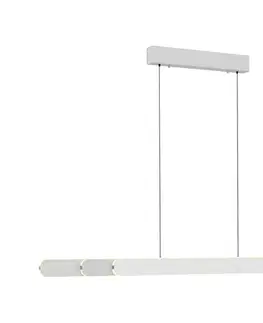 Svietidlá Schöner Wohnen 12577-16 - stmievateľný LED luster na lanku ADRIANA 2xLED/24W/230V biela 12577-16