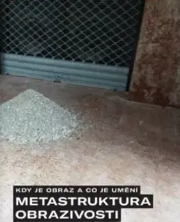 Dejiny, teória umenia Kdy je obraz a co je umění. Metastruktura obrazivosti - Jaroslav Vančát