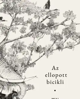 Svetová beletria Az ellopott bicikli - Wu Ming-yi