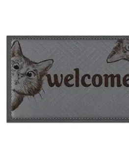 Koberce Textilná rohož 45x75 cm K-602-250 Welcome Mačka