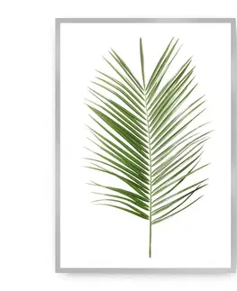 Obrazy Plagát Palm Leaf Green