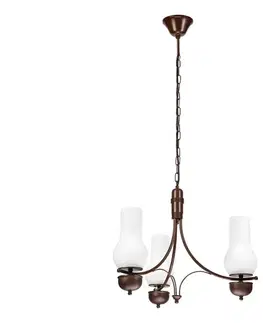 Svietidlá BRILAGI - LED luster na reťazi COTTAGE 3xE14/40W/230V buk/hnedá/biela BG1518+3xBG2270