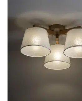 Svietidlá BRILAGI - Prisadený luster LATTE SABIA 3xE27/15W/230V borovica/biela 11573