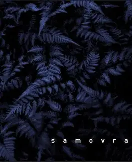 Slovenská beletria Samovrava - Miloš Karásek