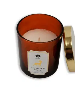 Vianočné dekorácie Arome Sviečka vo farebnom skle s viečkom, Chestnut & Clove, 125 g