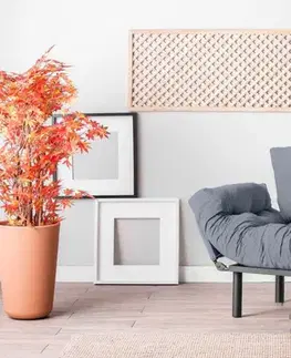 Kreslá Kreslo ušiak Nitta Single - Grey