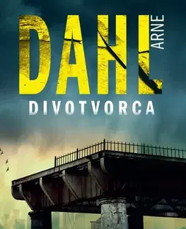 Detektívky, trilery, horory Divotvorca - Arne Dahl