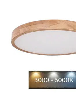 Svietidlá Globo 41745-48 - LED Stmievateľné stropné svietidlo RAINER LED/48W/230V + DO 41745-48