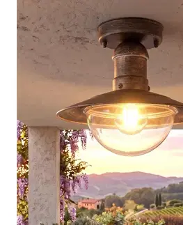 Záhradné lampy BRILAGI - Vonkajšie stropné svietidlo MOLDE 1xE27/60W IP44 bronzová/patina 63030