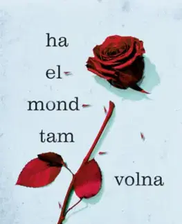 Young adults Ha elmondtam volna - Laura Nowlin