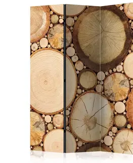 Paravány Paraván Wood grains Dekorhome