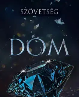 Romantická beletria Dom - S. J. Tilly