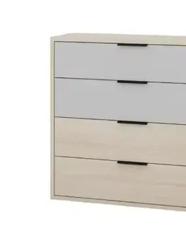 Komody a skrinky REINOLD 06 zásuvková komoda, riva / šedá