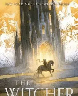 Sci-fi a fantasy The Tower of the Swallow - Andrzej Sapkowski,David French
