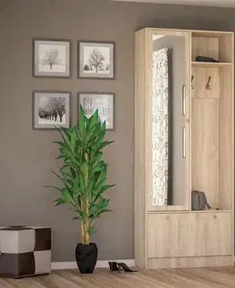 Predsieňové zostavy PRESTO dizajnová predsieň dub sonoma