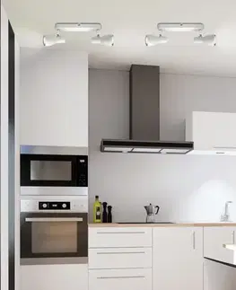 Stropná svetla Nástenná stropná svietiaca páska biela 2x40W Picardo