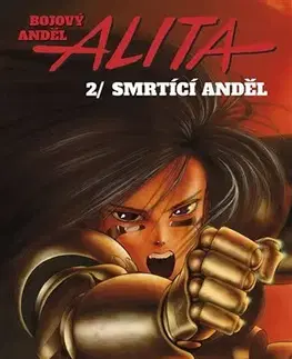 Manga Bojový anděl Alita 2 - Jukito Kiširo