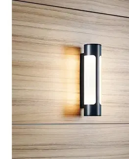 Záhradné lampy Eglo 97119 - LED vonkajšie nástenné svietidlo TONEGO 2xLED/6W/230V 97119