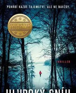 Detektívky, trilery, horory Hluboký sníh - Brian Freeman,Jan Jirák