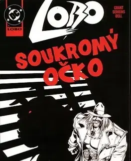Komiksy Lobo: Soukromý očko - Grant Alan
