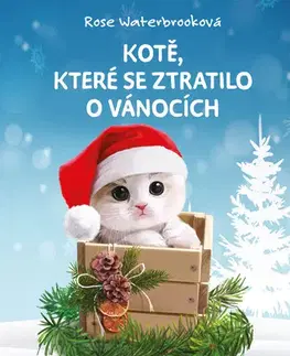 Rozprávky Kotě, které se ztratilo o Vánocích - Rose Waterbrooková