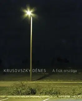 Svetová beletria A fiúk országa - Dénes Krusovszky